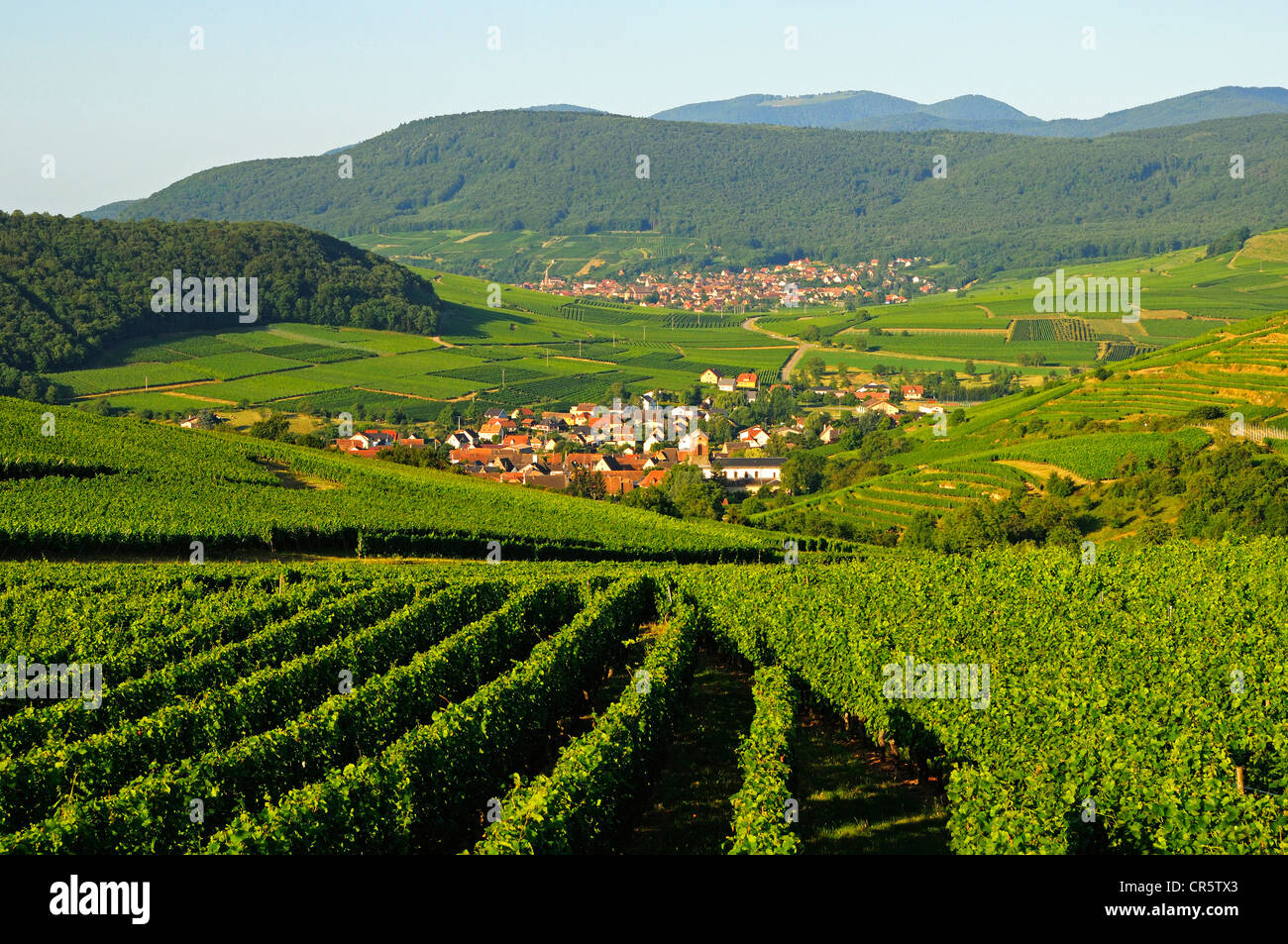 Il villaggio del vino di Westhalten nella Vallée nobile lungo l'Alsazia strada del vino e la Route des Vins d'Alsace, Alto Reno, Alsazia Foto Stock