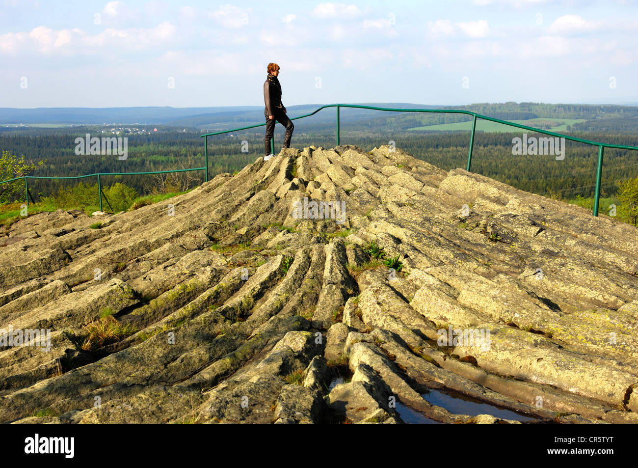 Affioramento di basalto con orizzontale delle colonne di basalto, Hirtstein Geotop, Monti Metalliferi, Sassonia, Germania, Europa Foto Stock