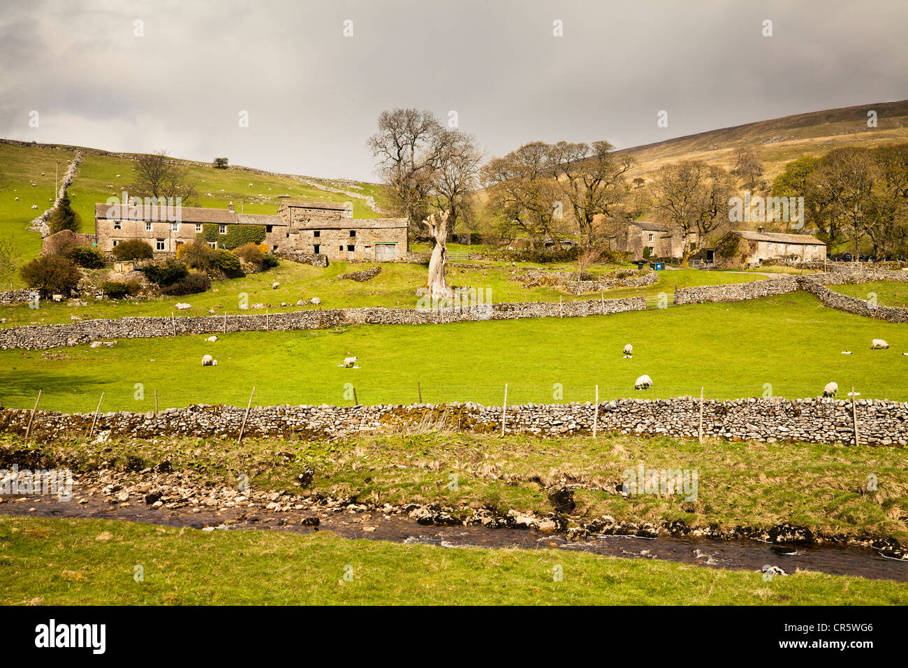In Deepdale Langstrothdale nel Yorkshire Dales, North Yorkshire. Foto Stock
