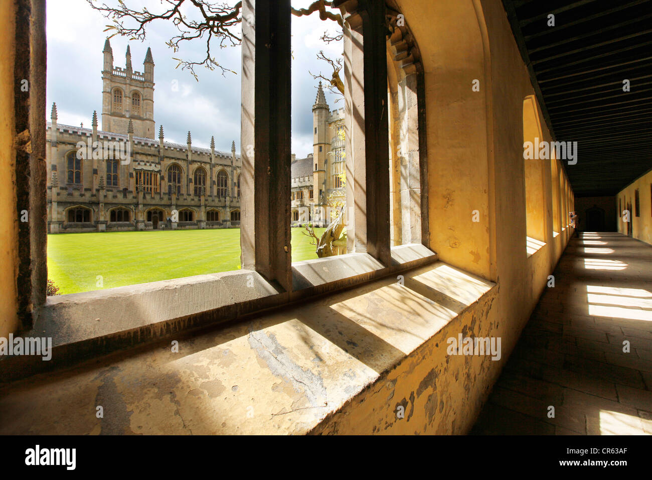 Il Magdalen College. Uno dei 39 collegi, tutti i quali sono indipendentemente e insieme formano l'Università di Oxford. Foto Stock