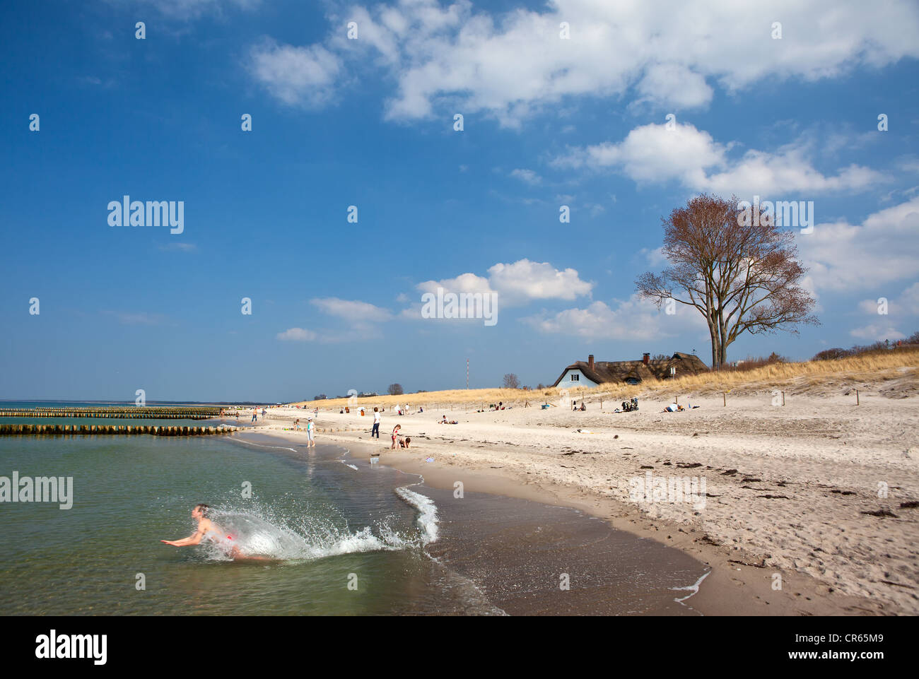 Spiaggia, Ahrenshoop, Mar Baltico, North Western Pomerania Occidentale, Germania, Europa Foto Stock