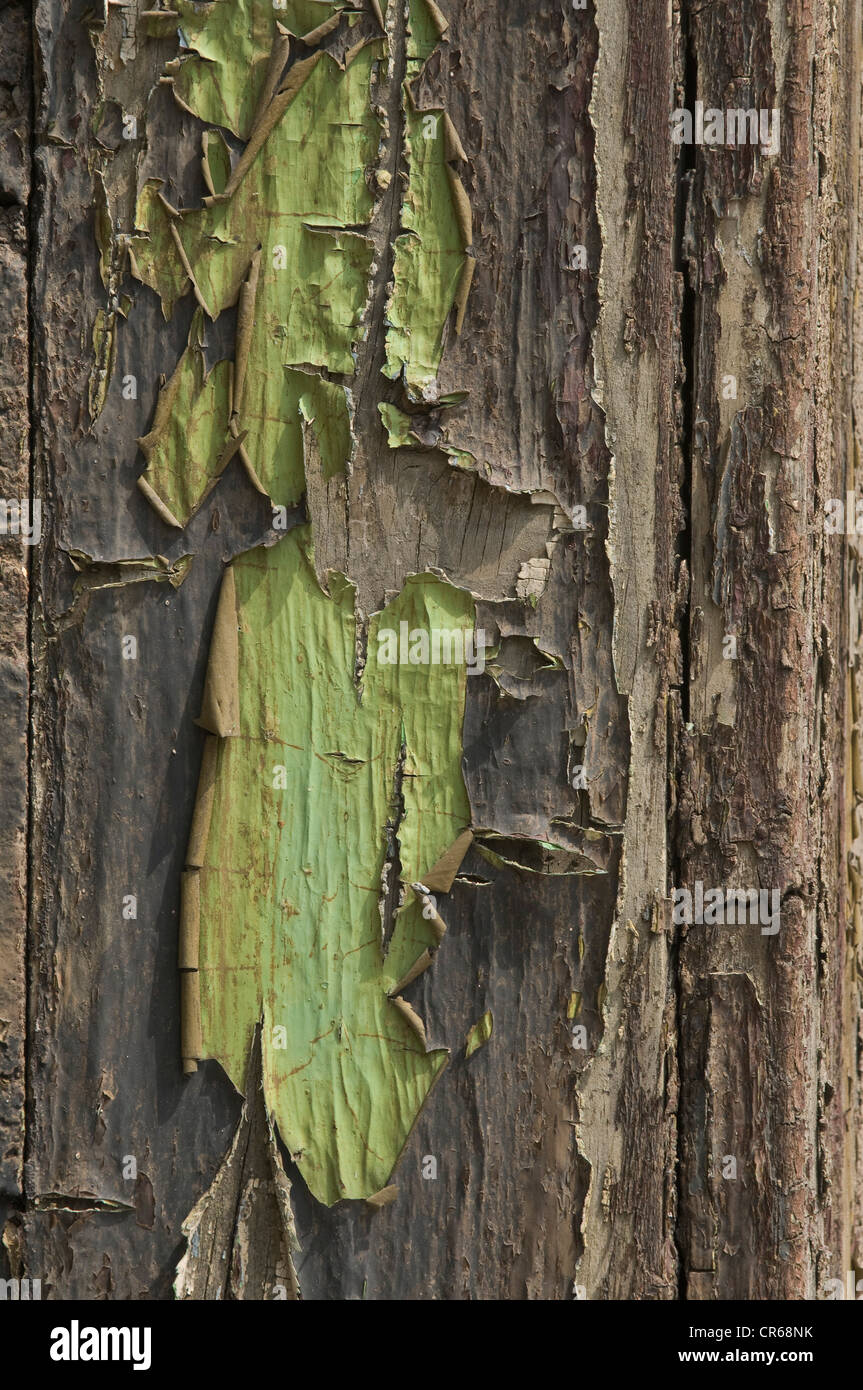 Pareti in legno con sfogliatura il colore dello sfondo Foto Stock