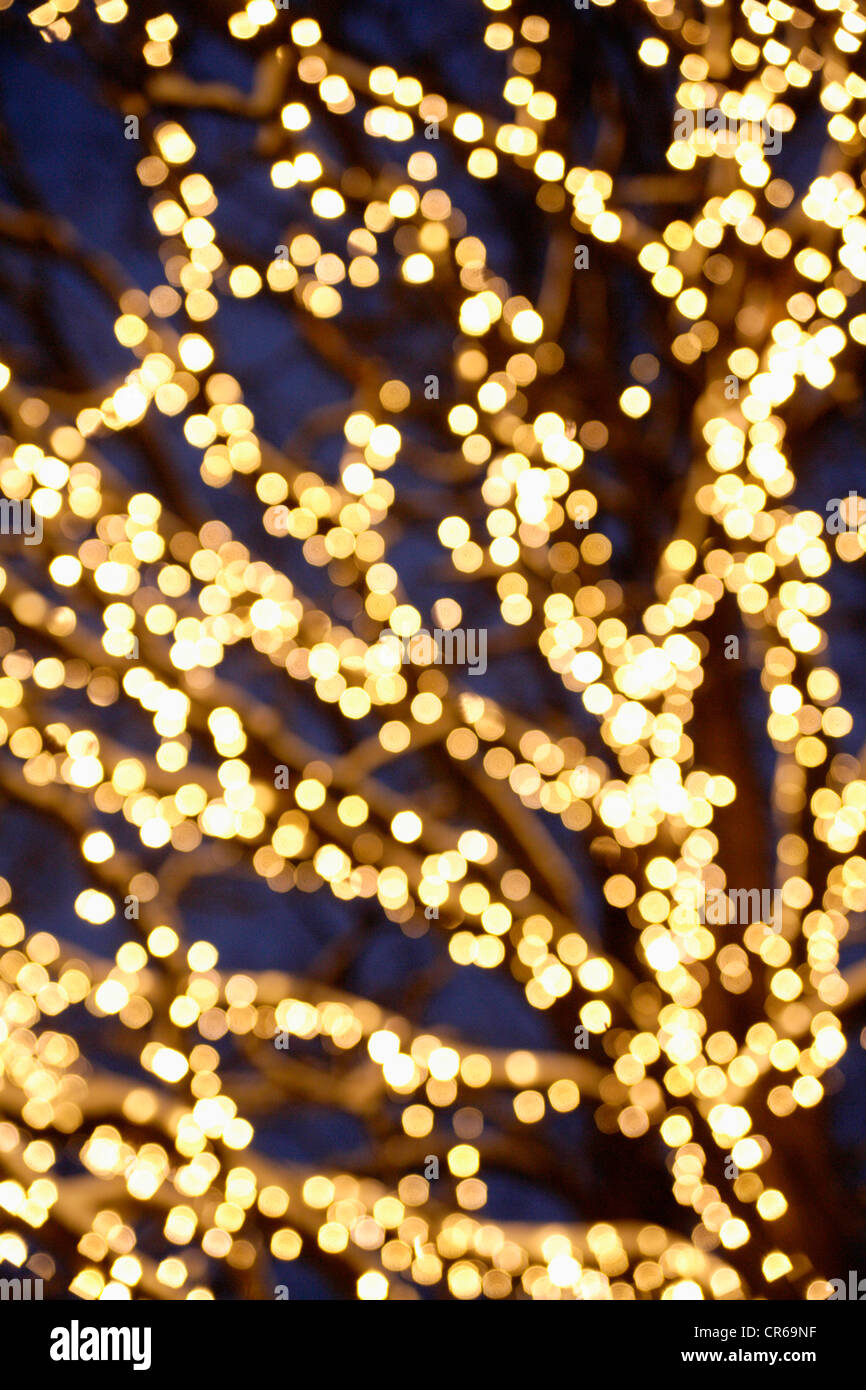 In Germania, in Baviera, Monaco di Baviera, albero di Natale di notte Foto Stock