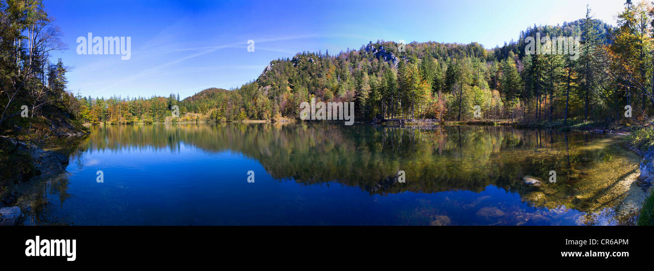 L'Austria, la vista del lago con alberi Foto Stock