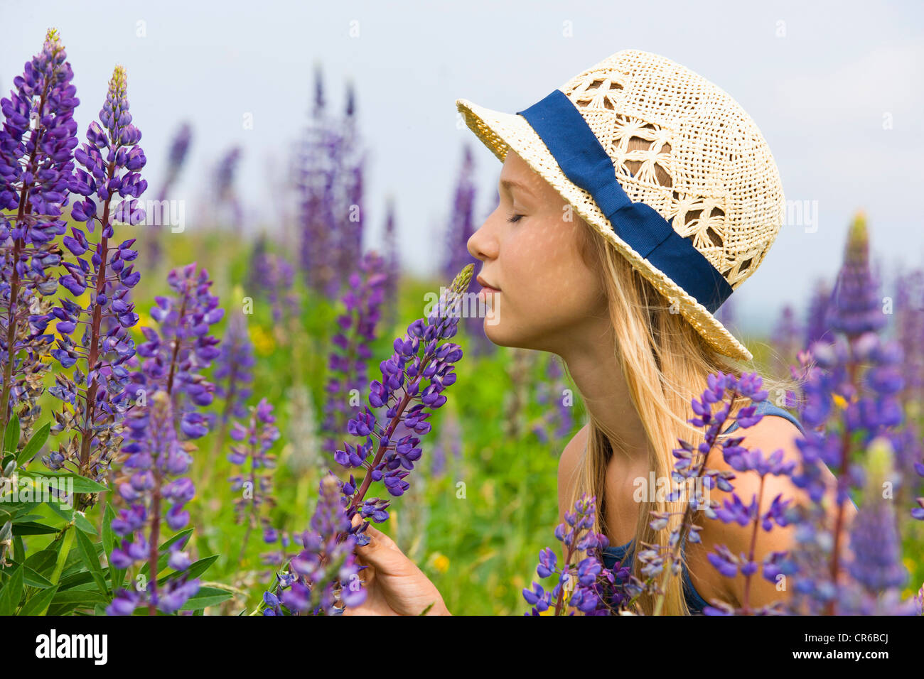 Austria, ragazza adolescente odore di fiore di lupino Foto Stock