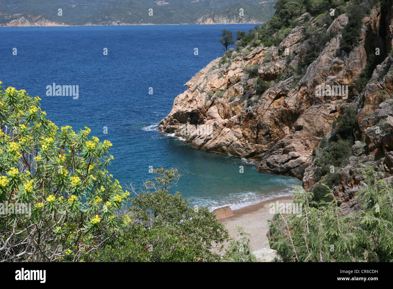 La Capu Rossu Golfe de Porto Corsica Francia Foto Stock