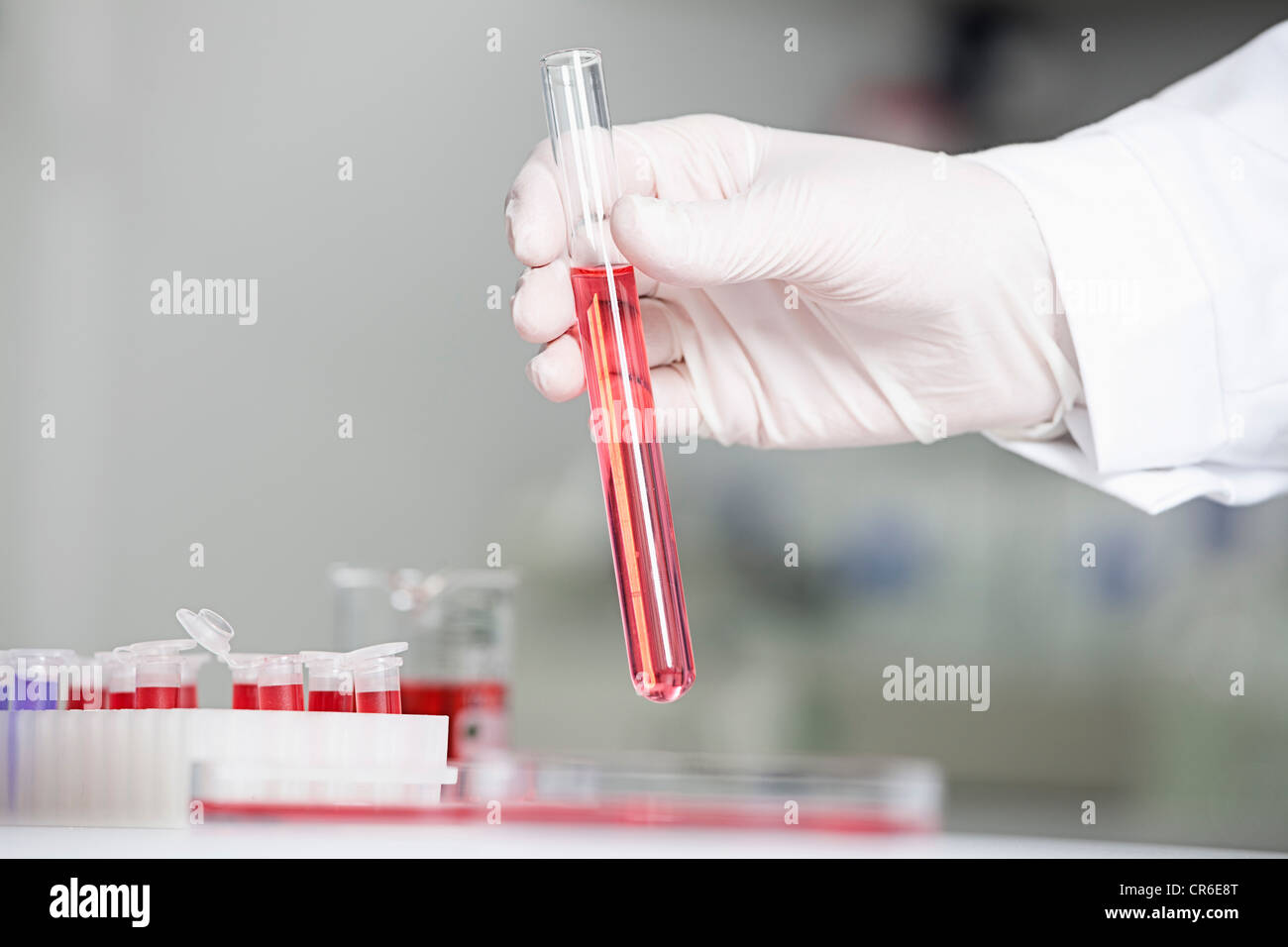 In Germania, in Baviera, Monaco di Baviera, scienziato di contenimento di liquido rosso in provetta per la ricerca medica in laboratorio Foto Stock