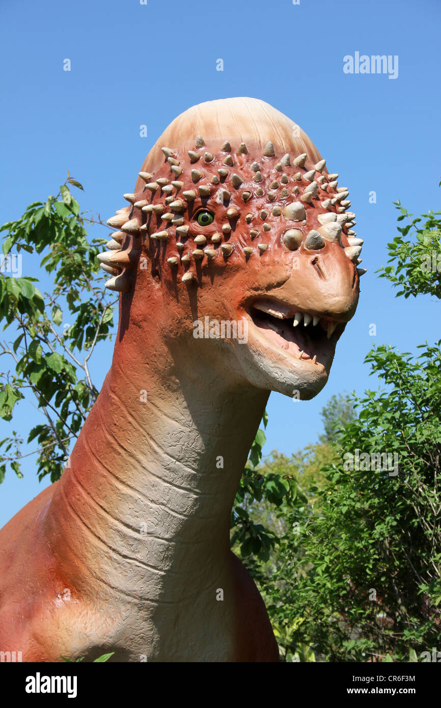 Modello Pachycephalosaurus, un dinosauro dalla fine del periodo Cretaceo Foto Stock