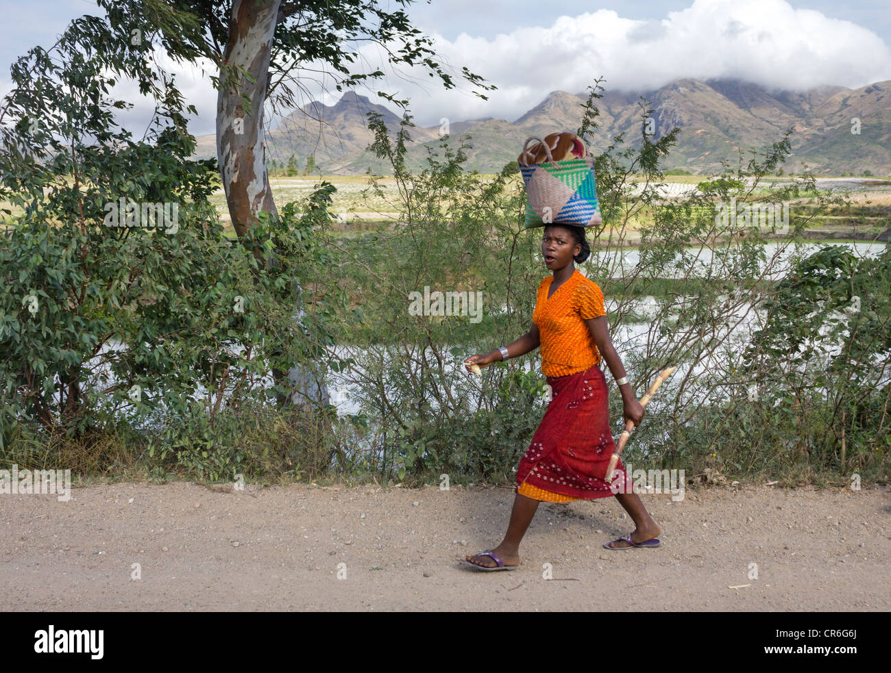 Donna cestello di trasporto sulla testa, Fort Dauphin - Berenty road, Madagascar Foto Stock