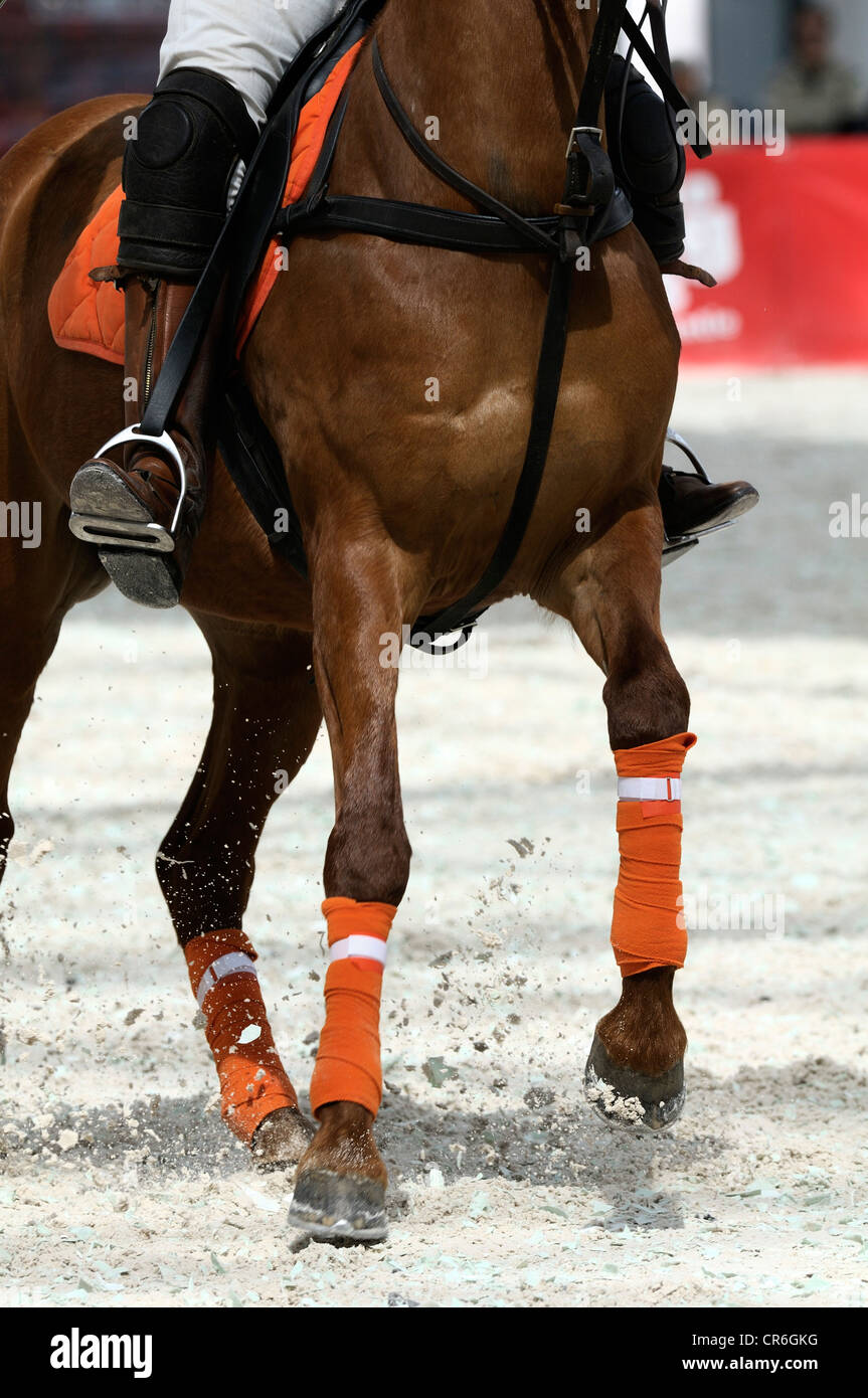 Polo Horse con bende arancione sollevano sabbia, Airport Arena Polo evento 2010, Monaco di Baviera, Baviera, Baviera, Germania, Europa Foto Stock