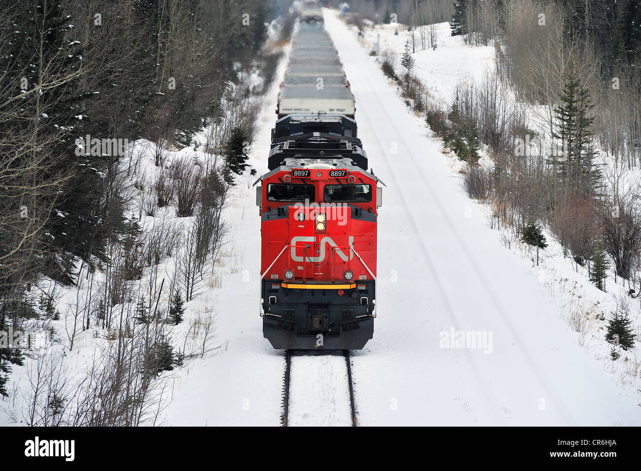 Una vista frontale di un Canadian National treno merci Foto Stock