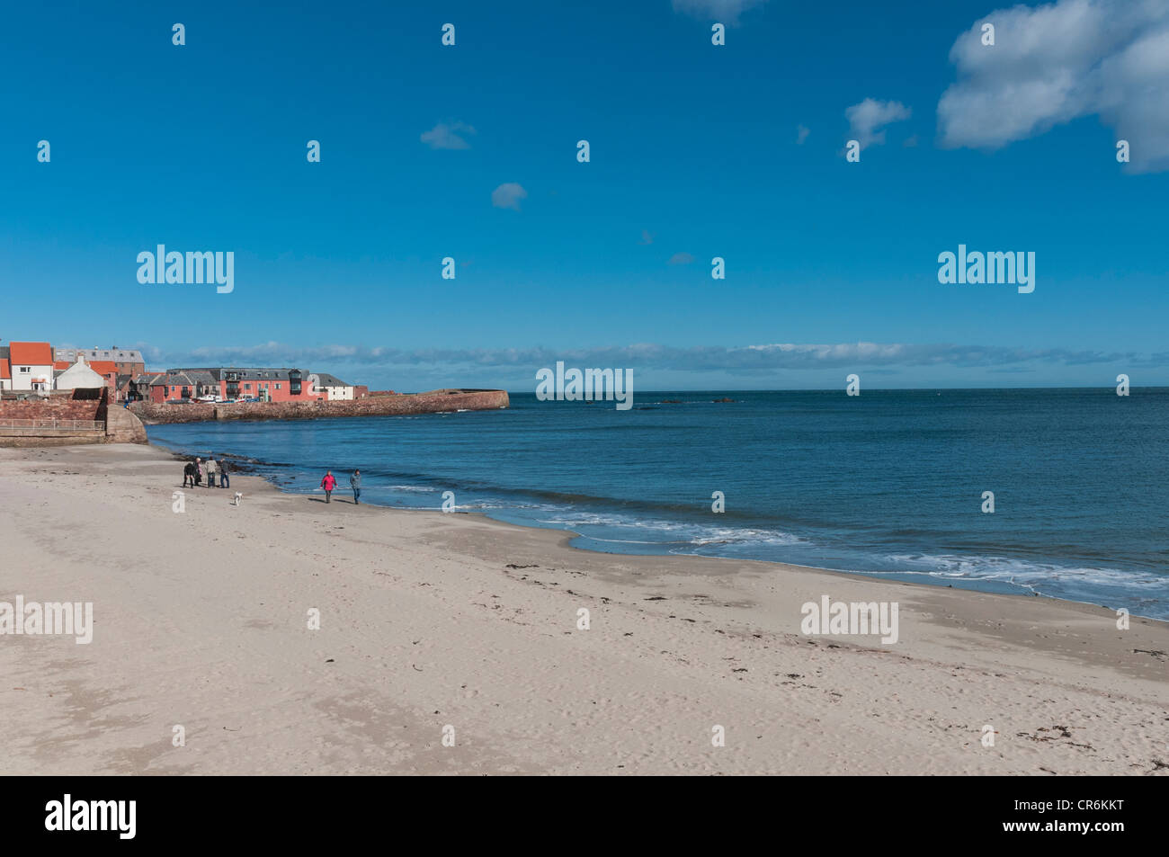East Beach Dunbar guardando verso Harbor East Lothian in Scozia Foto Stock