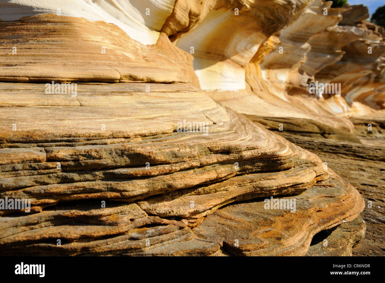 Il dipinto di scogliere, modellato e colorato scogliere di arenaria, sulla costa occidentale di Maria Island,Tasmania. Foto Stock