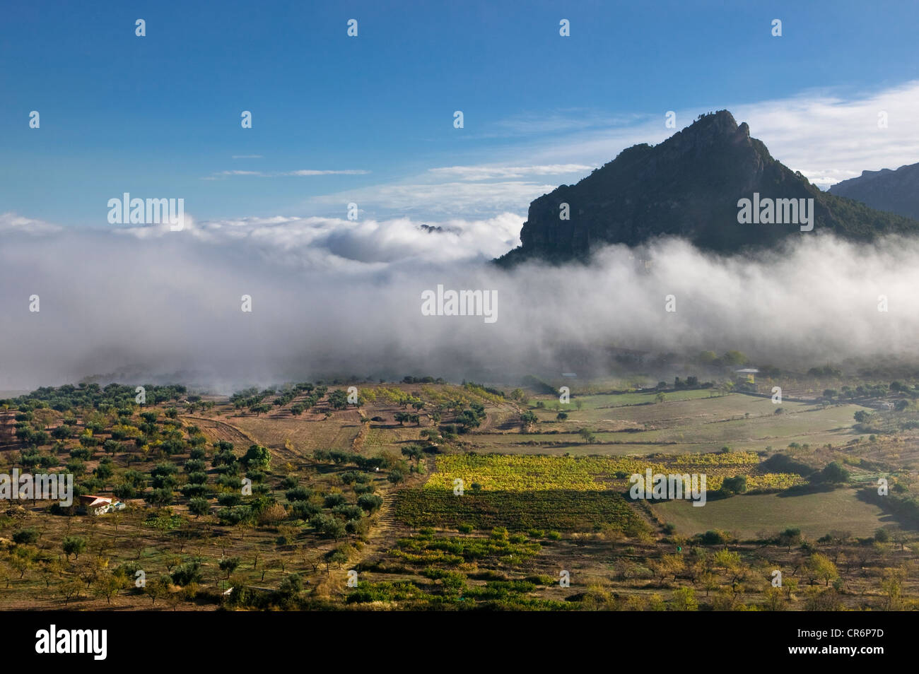 Santa Barbara, nebbia mattutina in Catalogna, Horta de San Juan in Spagna Foto Stock