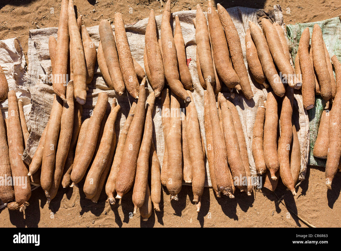 La manioca per la vendita al giorno di mercato, villaggio nei pressi di riserva Berenty, Madagascar Foto Stock