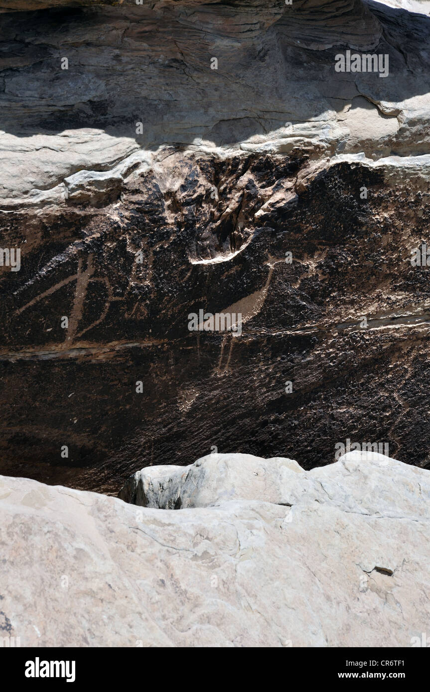 Incisioni rupestri a Newspaper Rock, il Parco Nazionale della Foresta Pietrificata, Arizona, Stati Uniti d'America Foto Stock