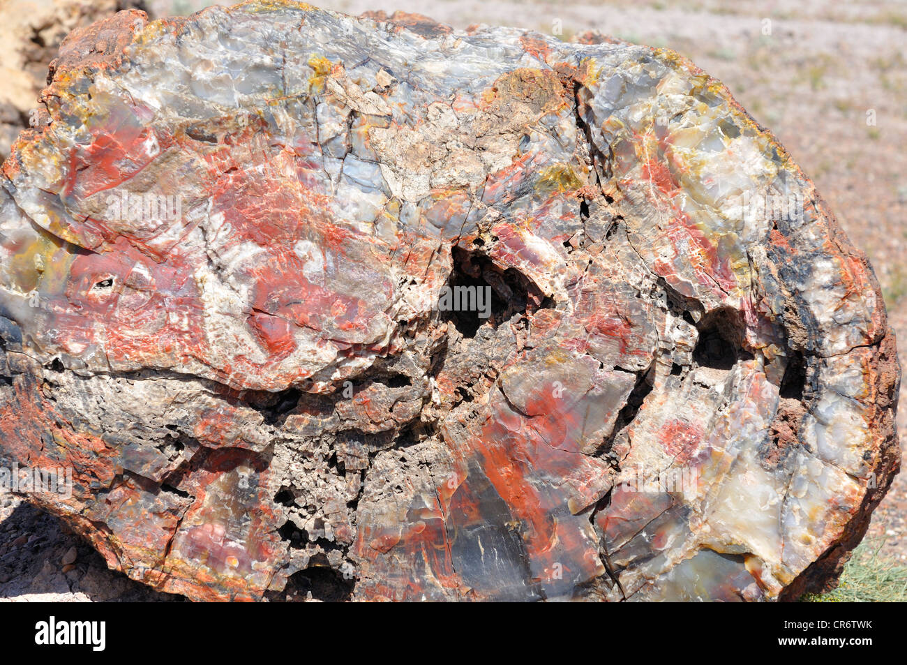 Parco Nazionale della Foresta Pietrificata, Arizona, Stati Uniti d'America Foto Stock