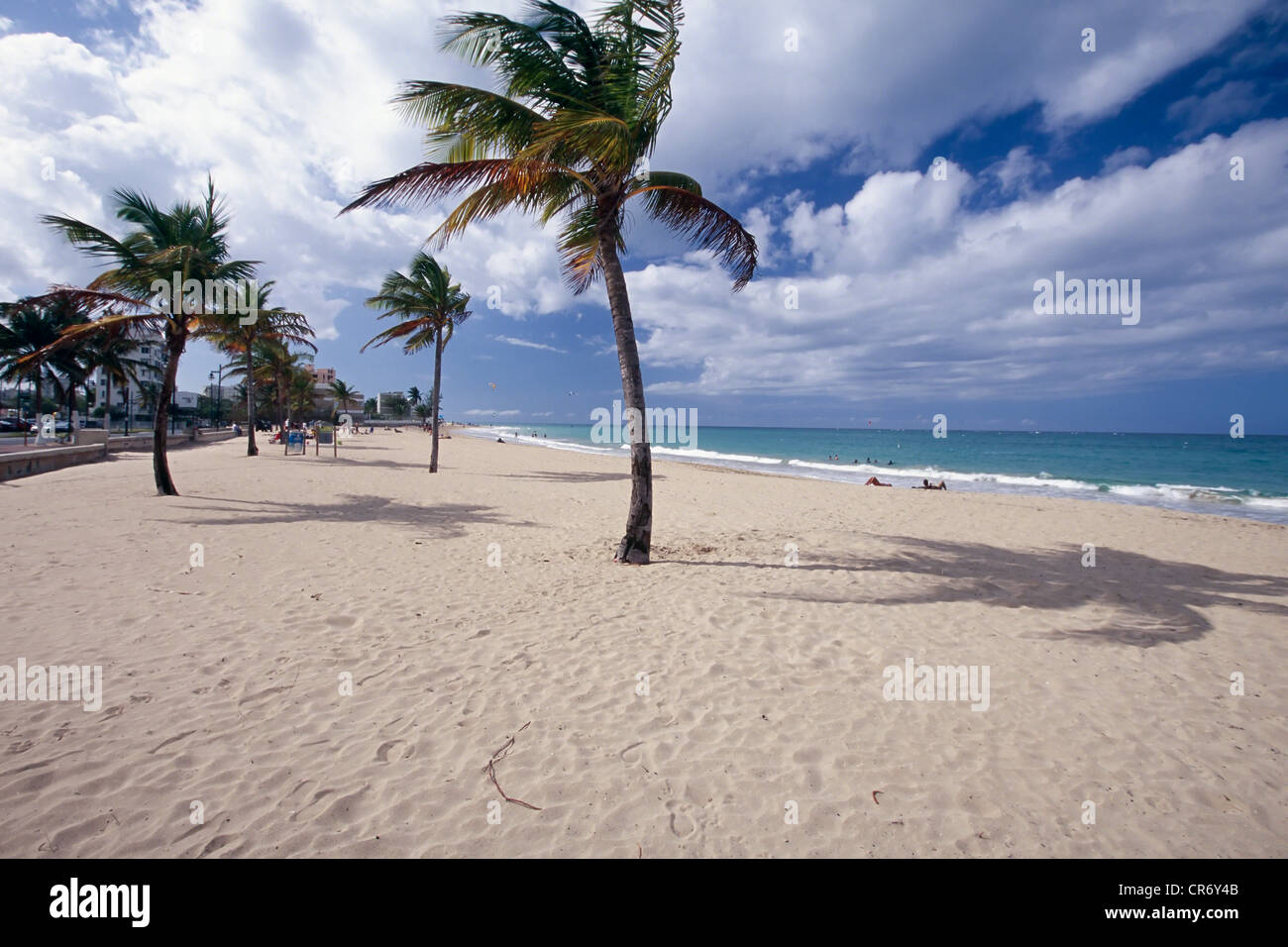 Le palme sulla spiaggia, Playa de Ocean Park, San Juan, Puerto Rico Foto Stock