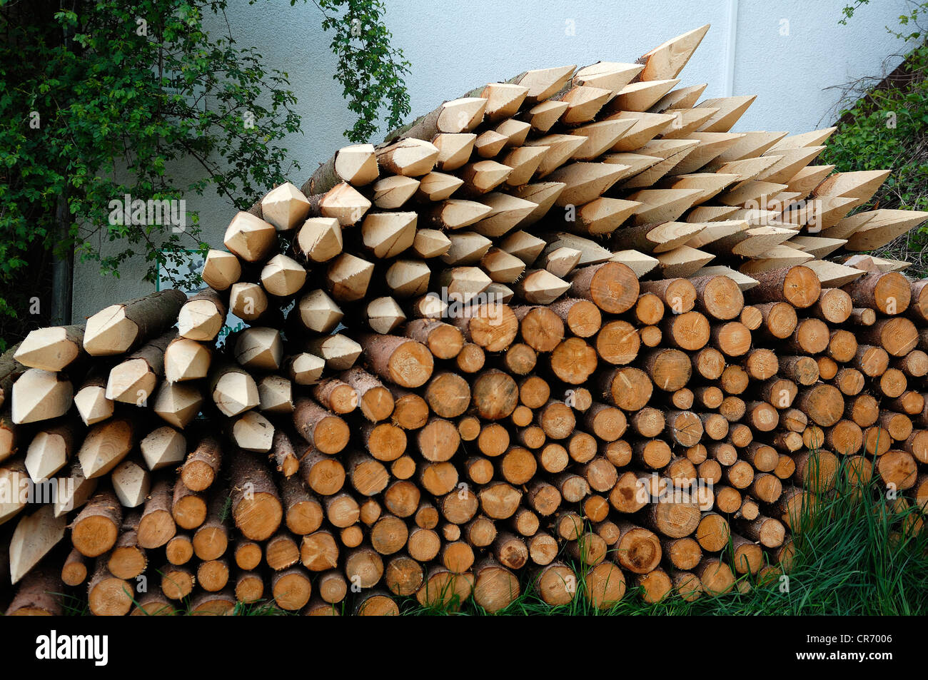 Pila di affilare i paletti di legno per la scherma, Lillinghof, Media Franconia, Baviera, Germania, Europa Foto Stock