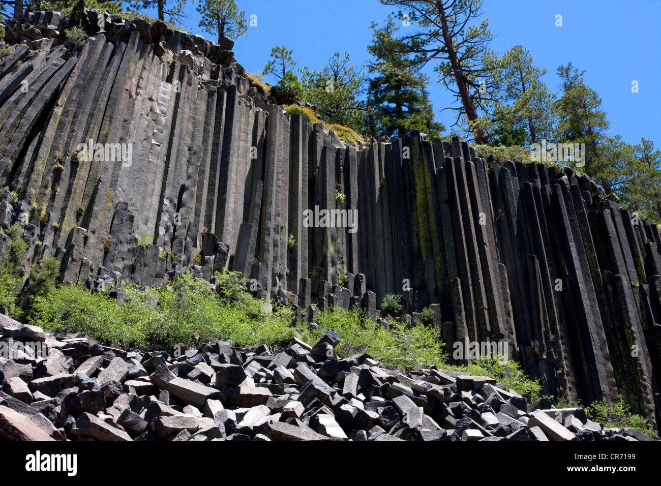 Devils Postpile National Monument, nei pressi di Mammoth Mountain, CALIFORNIA, STATI UNITI D'AMERICA, in luglio - scogliere di basalto colonnare colonne. Foto Stock