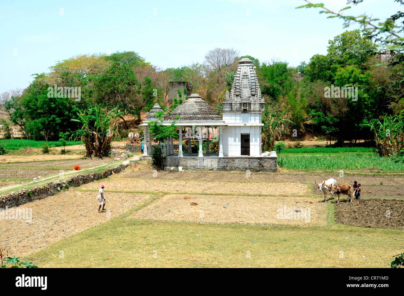 Una vista di un tempio in campo in India rurale Foto Stock