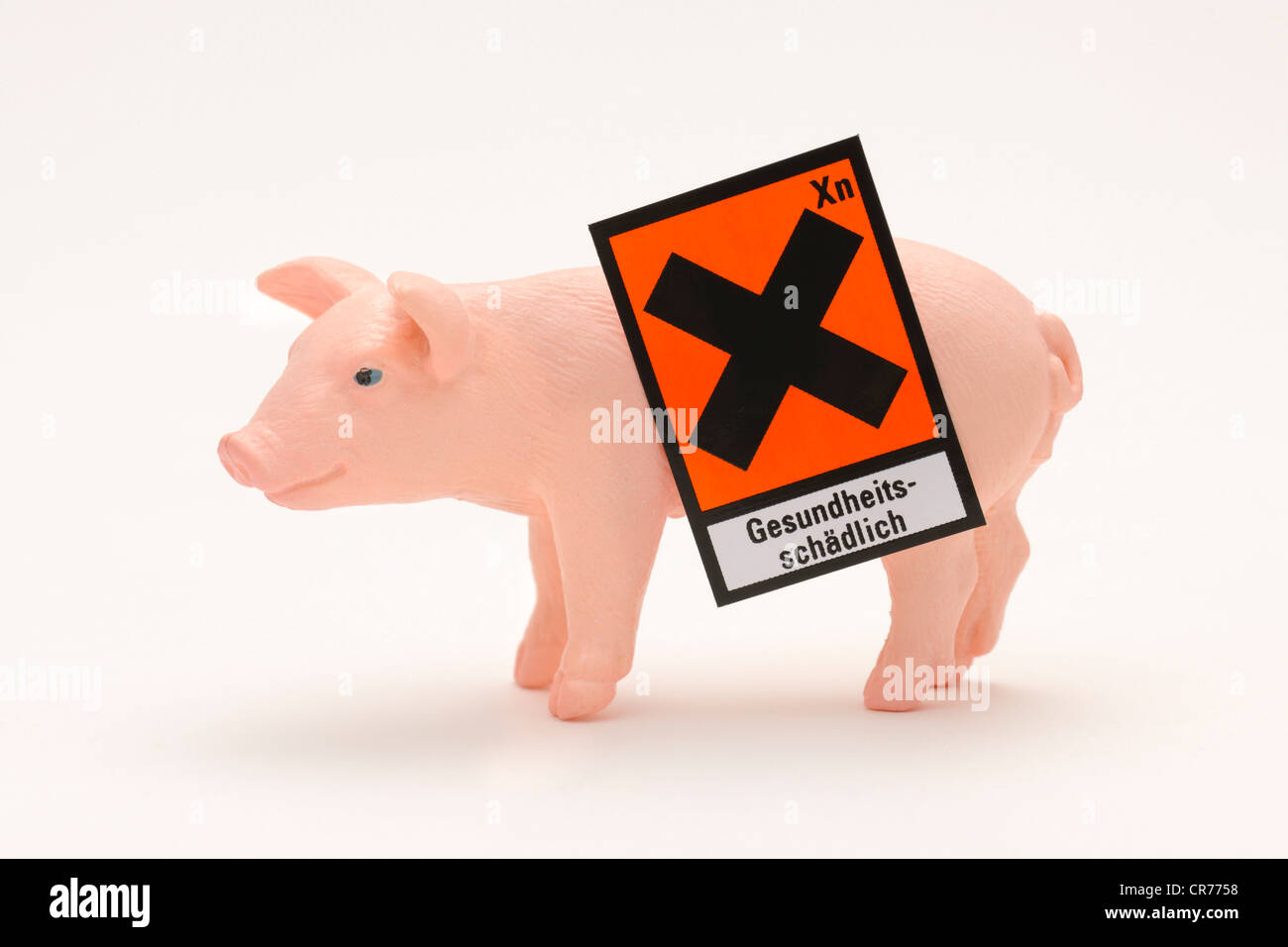 Maiale in miniatura, simbolo di pericolo "Gesundheitsschaedlich', tedesco per "nocivo per la salute', immagine simbolica per la carne di maiale contaminata Foto Stock
