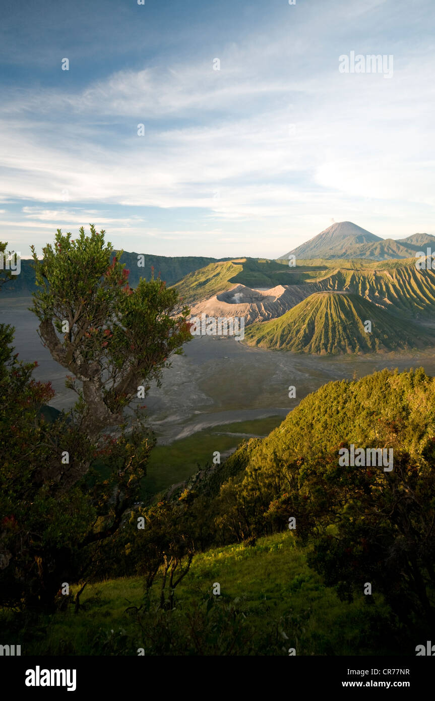 Vulcano Bromo valley Foto Stock