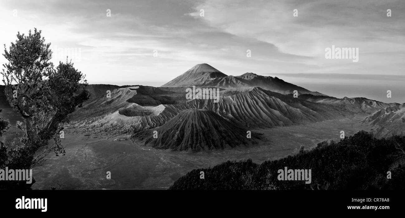 Vulcano Bromo valley Foto Stock