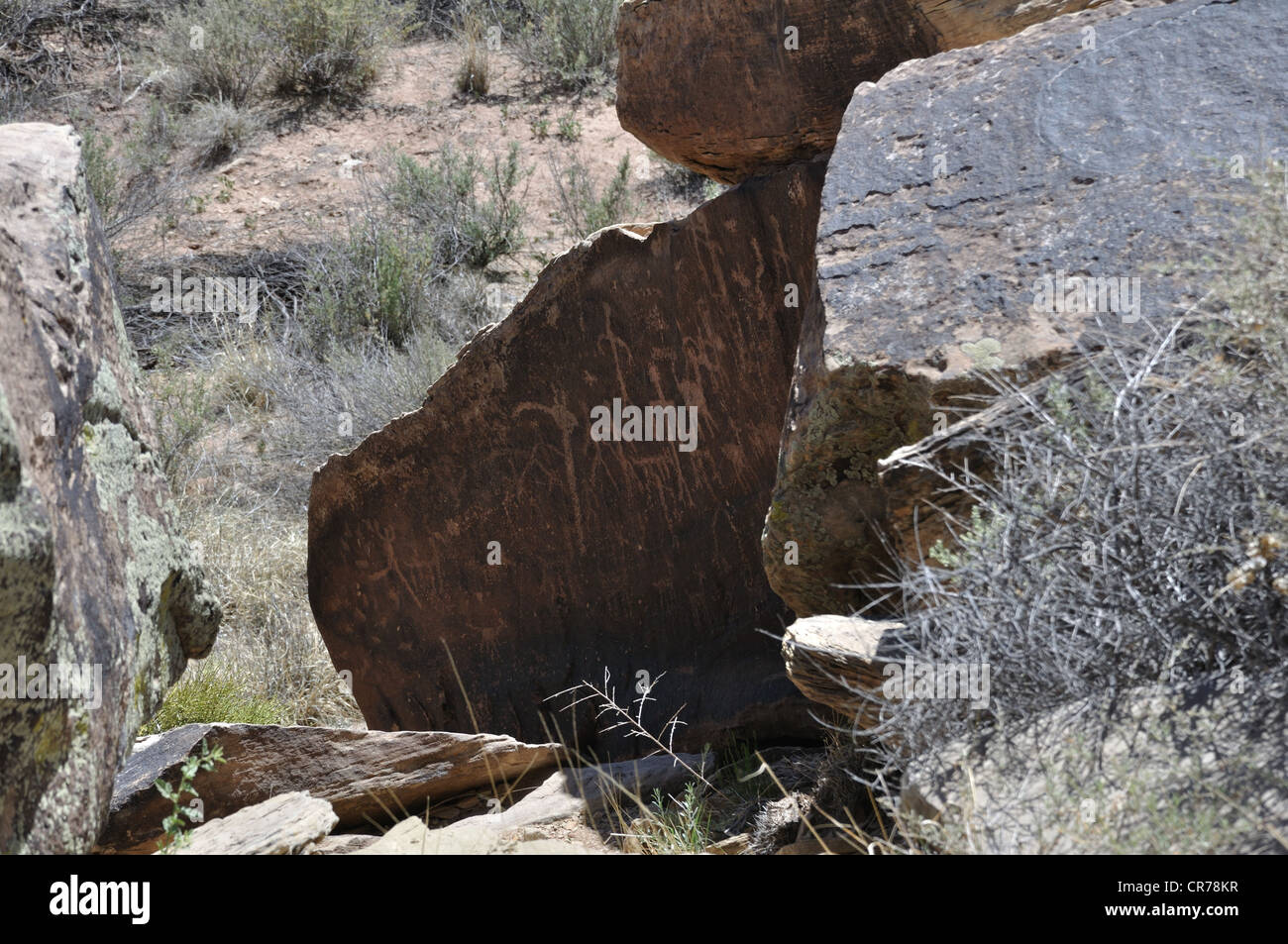 Incisioni rupestri a Newspaper Rock, il Parco Nazionale della Foresta Pietrificata, Arizona, Stati Uniti d'America Foto Stock