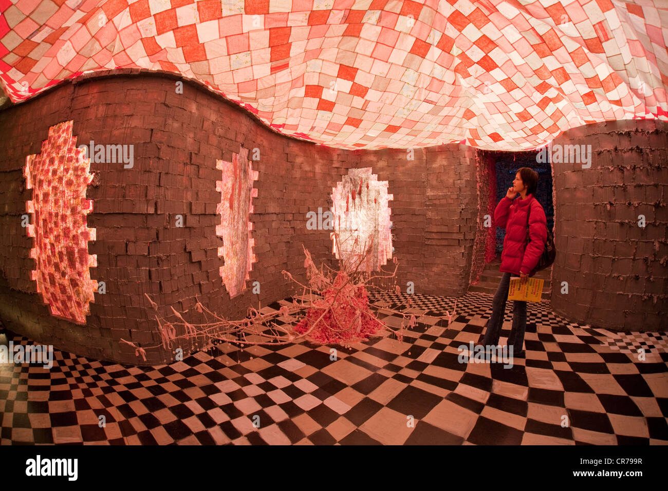 Canada Quebec, Montreal, museo di arte contemporanea, MAC,Tricia Middleton esposizione Foto Stock