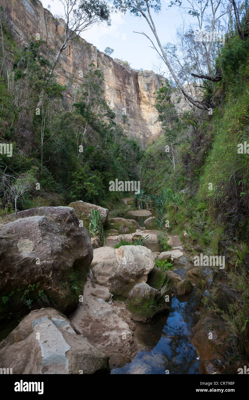 Canyon verdeggiante, Isalo National Park, Ihorombe Regione del Madagascar. Foto Stock