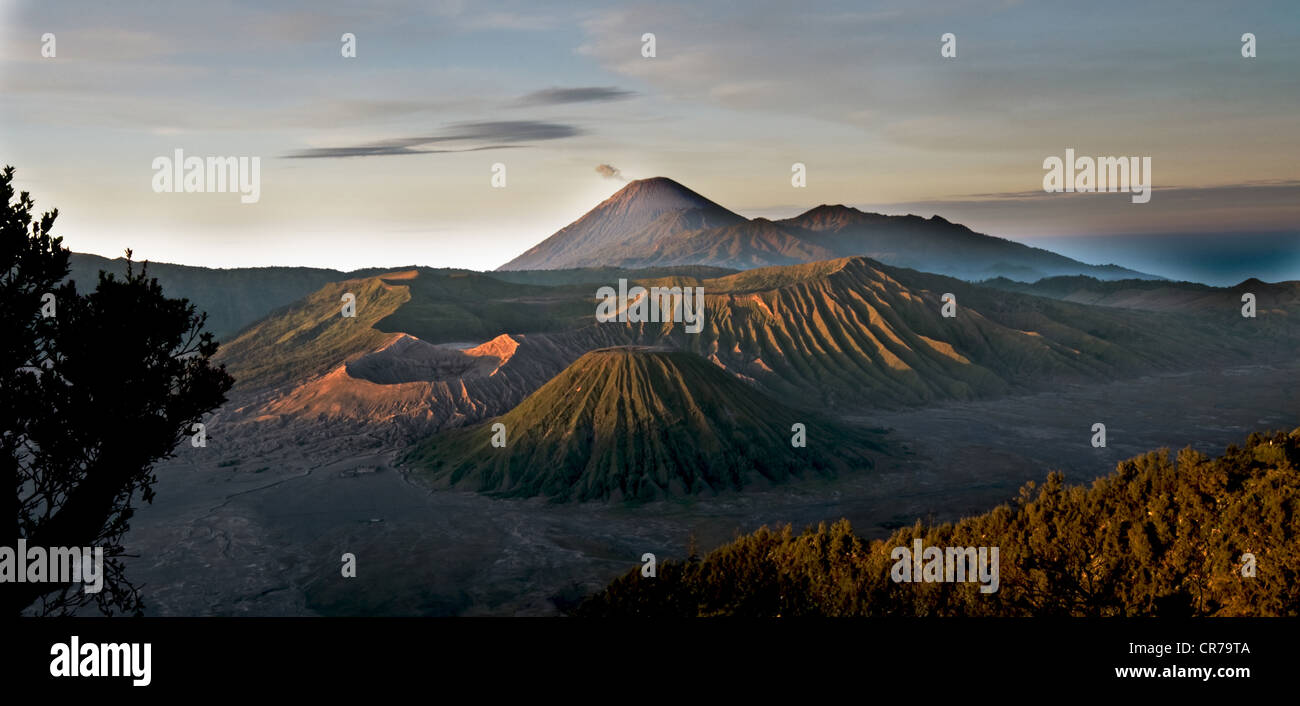 Vulcano Bromo valley Foto Stock