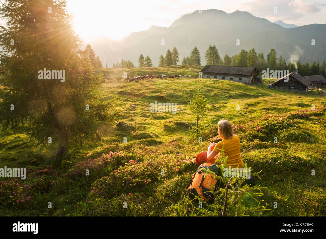 Austria Salzburg County, giovane donna seduta nel prato alpino e guardare il paesaggio Foto Stock