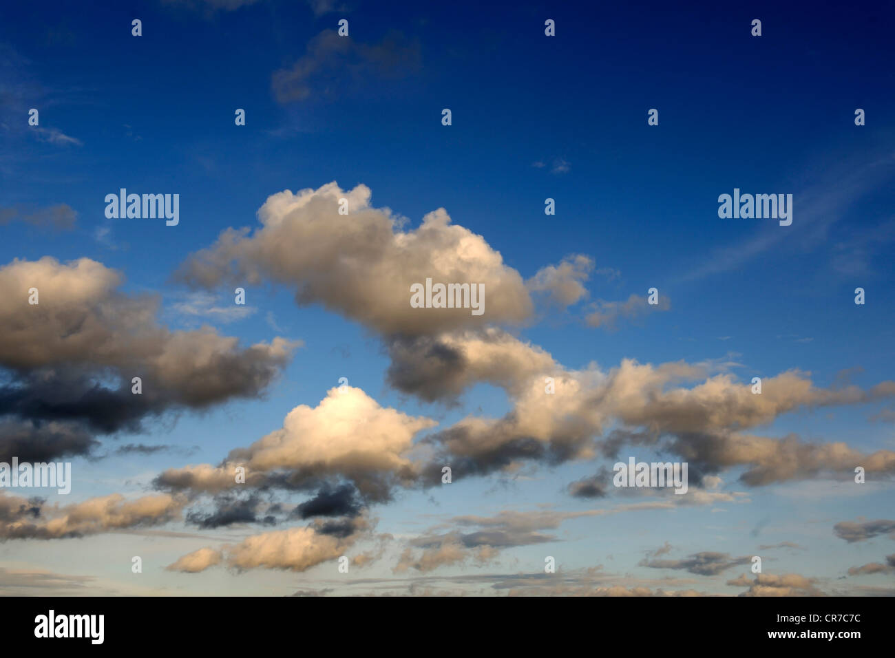 Cumulus nuvole, pioggia nuvole nuvole temporale, avvicinando temporale Foto Stock