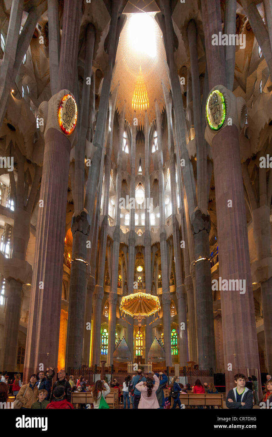 Il soffitto della chiesa, altare con un baldacchino o tettoia di stato, a forma di albero di pilastri e soffitto, interno della Sagrada Familia Foto Stock