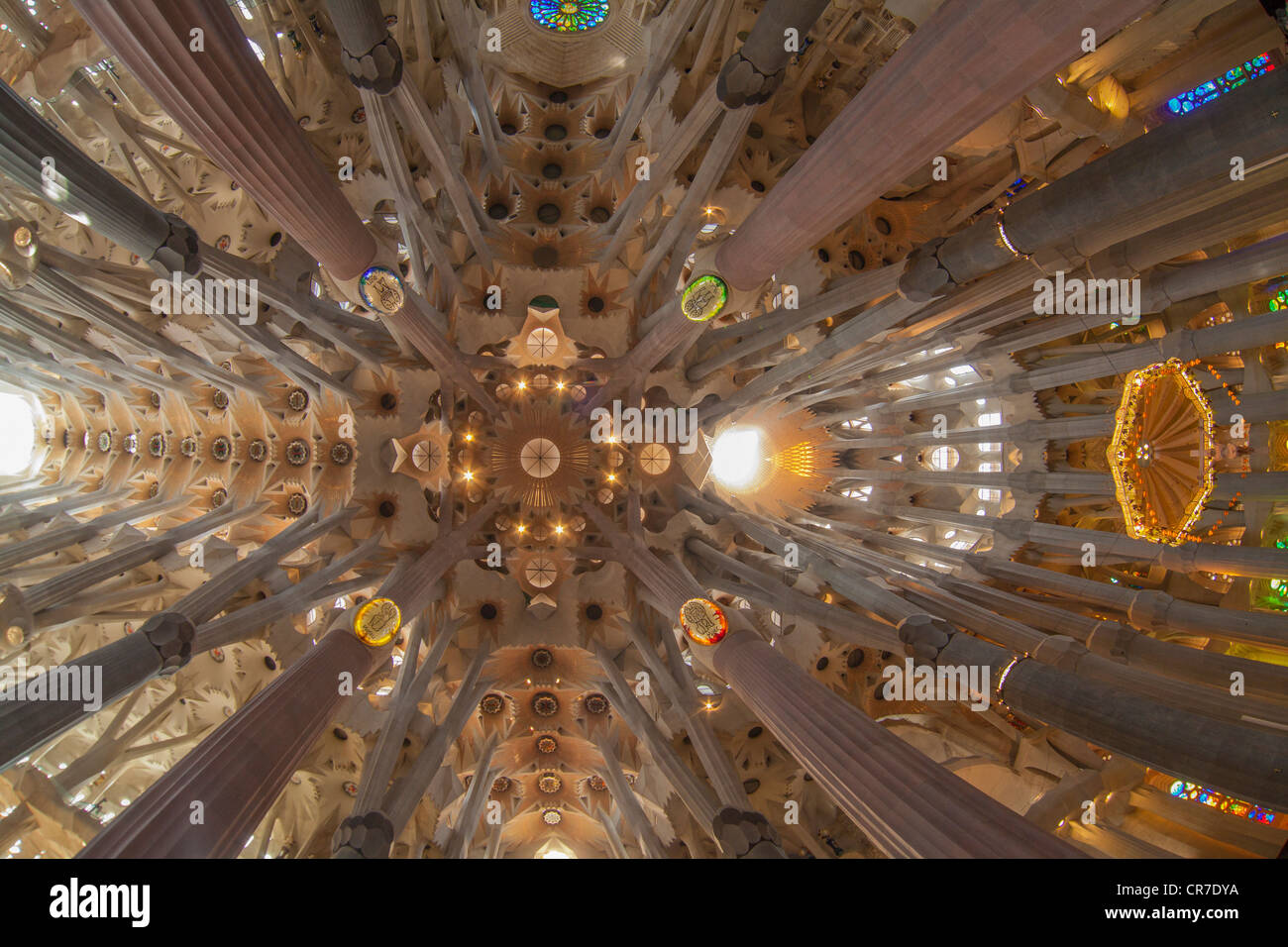 Il soffitto della chiesa, altare con un baldacchino o tettoia di stato, a forma di albero di pilastri e soffitto, interno della Sagrada Familia Foto Stock