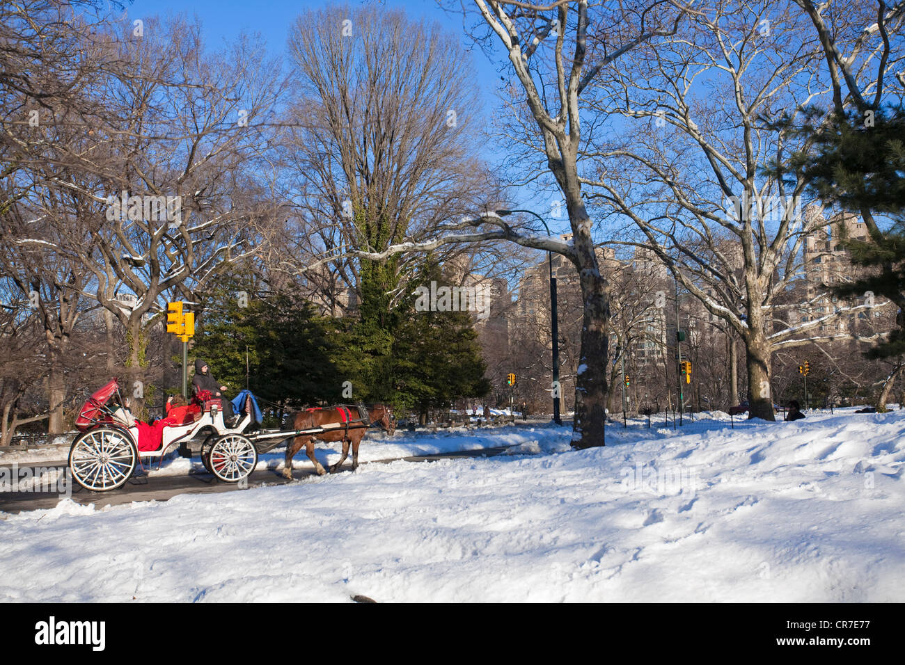 Stati Uniti, New York City, Manhattan Central Park in inverno sotto la neve, barouche e turisti Foto Stock