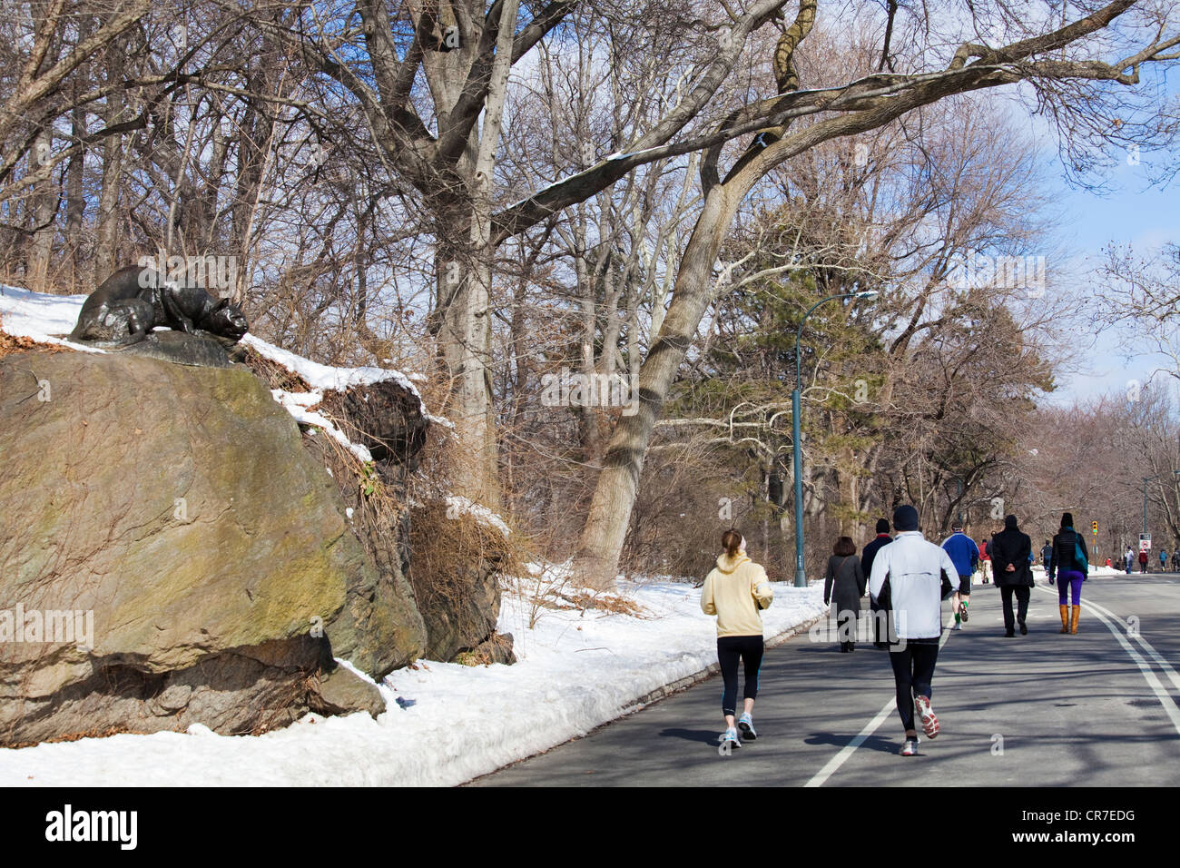Stati Uniti, New York City, Manhattan Central Park in inverno sotto la neve, statua in bronzo dello scultore Edward Kemeys di un Foto Stock