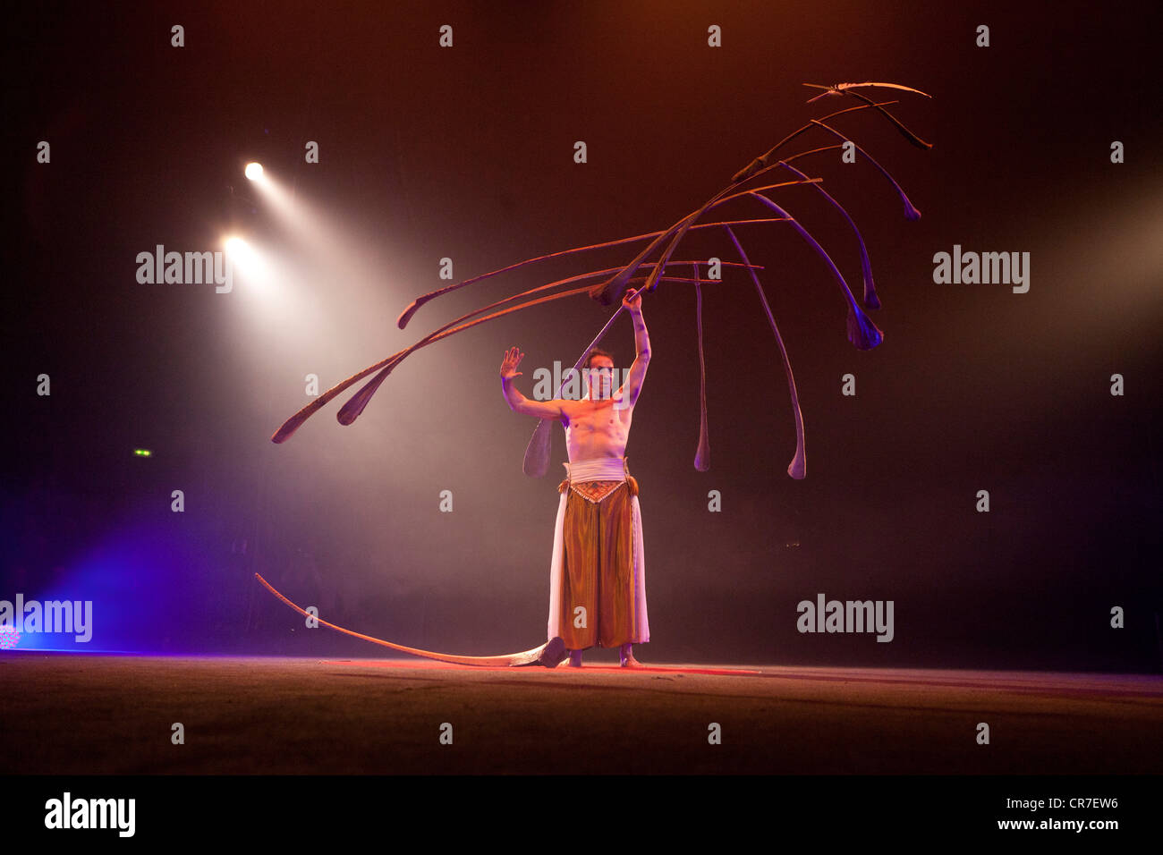 Bilanciamento atto dove il giocatore svizzero Rigolo utilizza 13 rami di palma per creare una luce sospeso scultura Foto Stock