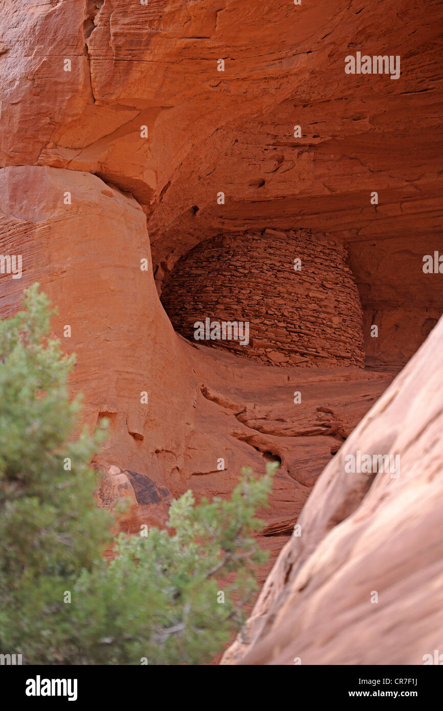 Appross. 1500 anno vecchi ruderi dei nativi americani, Mistero Valley, Arizona, Stati Uniti d'America Foto Stock