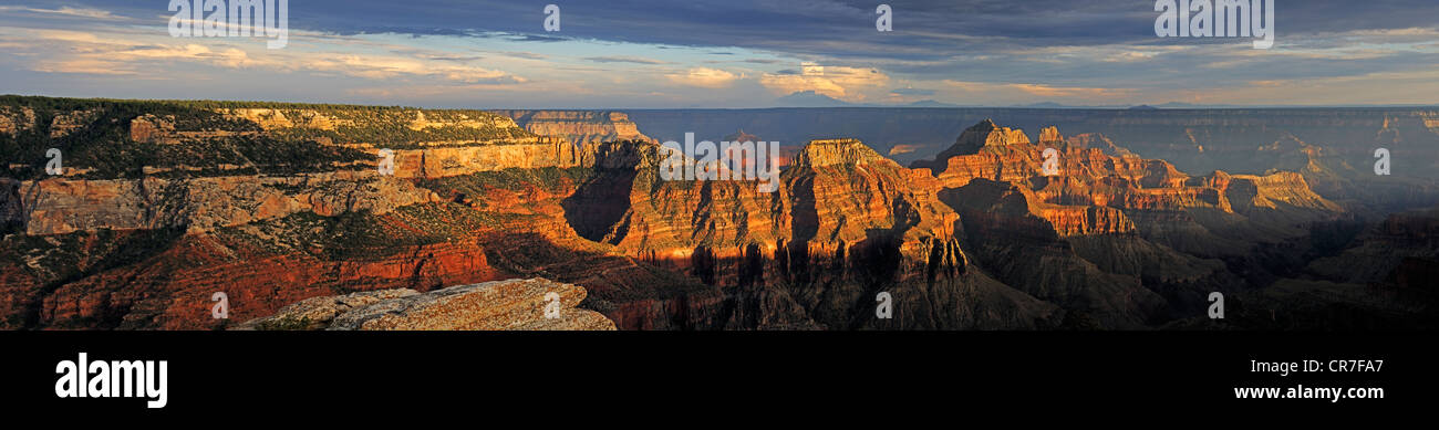 Panorama, Grand Canyon North Rim nella luce della sera, Bright Angel Point, Arizona, Stati Uniti d'America Foto Stock