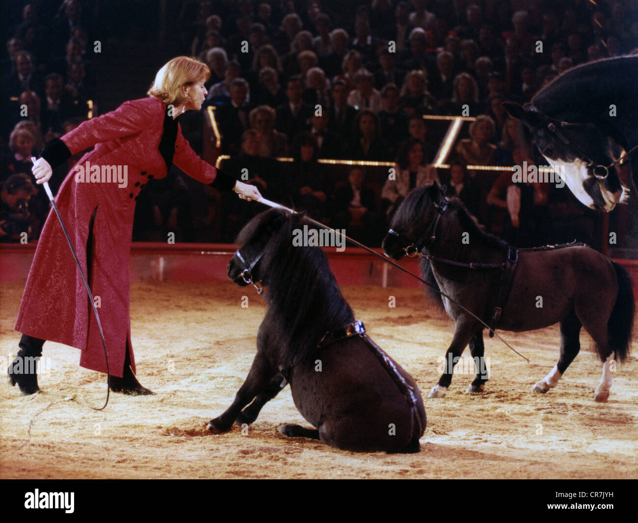 Berger, Senta, * 13.5.1941, attrice austriaca, a tutta lunghezza, durante un'azione a cavallo, nel programma televisivo tedesco 'Sars in der Manege', Circus Krone, Monaco di Baviera, dicembre 1996, Foto Stock