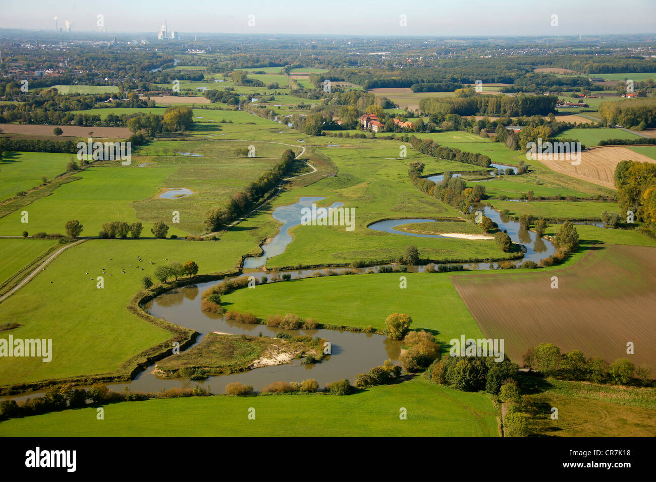 Alcune aeree, Lippe zone golenali fluviali, LifeProjekt, bonifiche, serpeggiante fiume Lippe, Ahlen, la zona della Ruhr Foto Stock