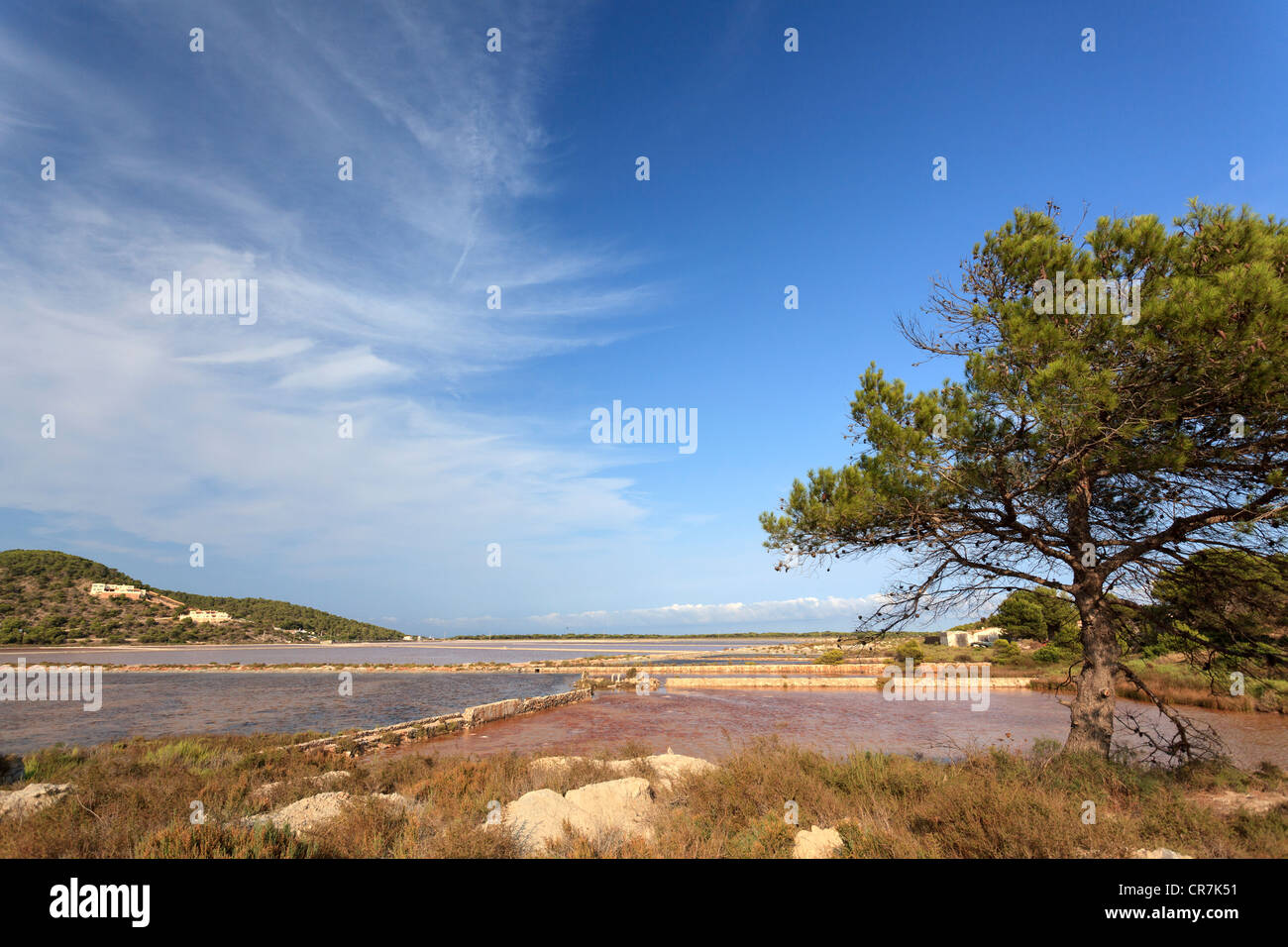 Isole Baleari Spagna, Ibiza, saline (salines) Foto Stock