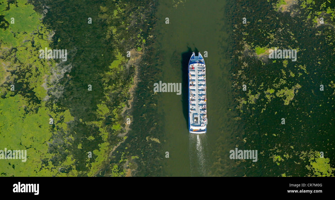 Vista aerea, waterweeds, Elodea alghe sul Kemnade serbatoio, con la barca per gite Schwalbe, Witten, confine di Bochum Foto Stock