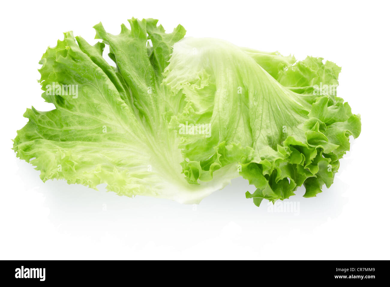 Verde foglie di insalata Foto Stock