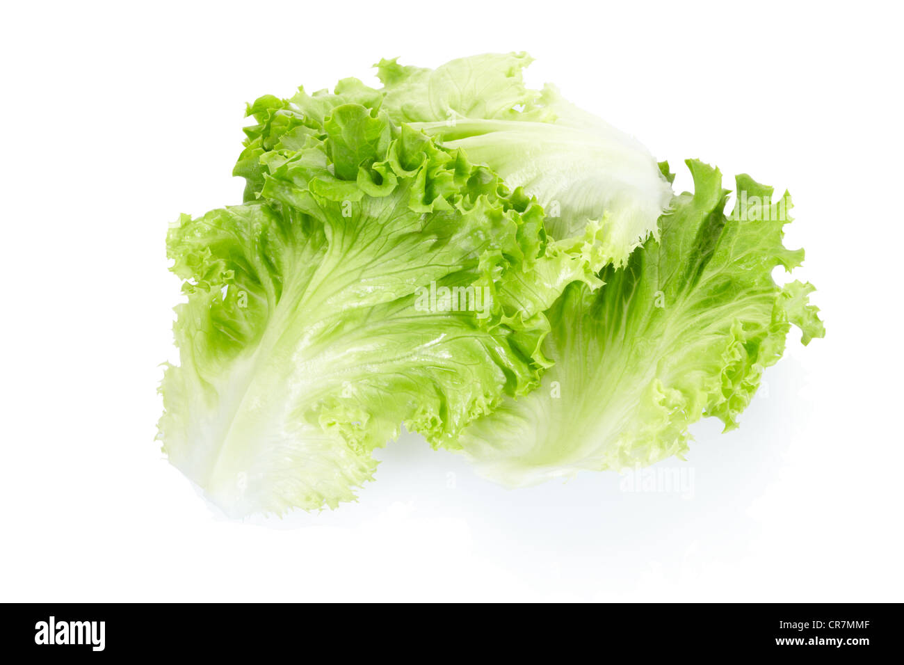 Verde foglie di insalata Foto Stock