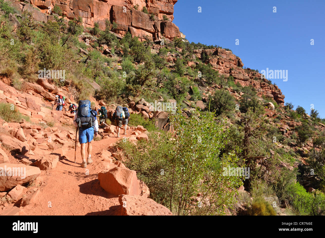 Il Grand Canyon, Arizona, Stati Uniti d'America Foto Stock