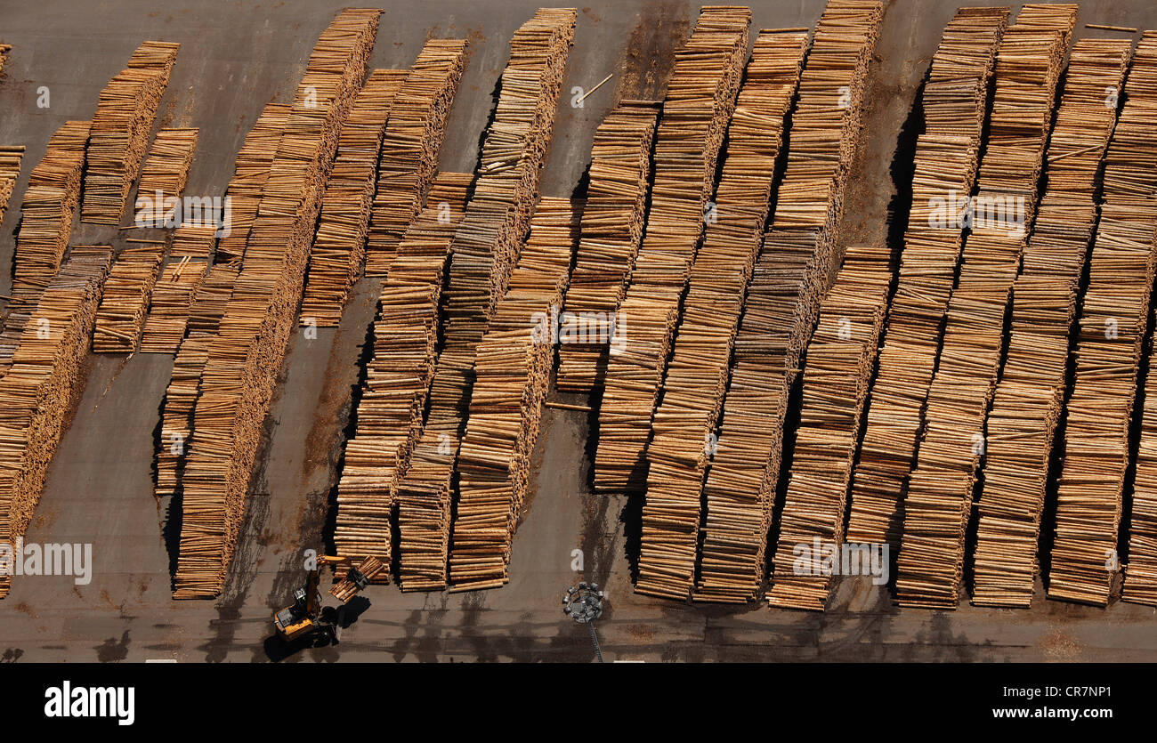 Vista aerea, pali di legno, legno Industria, Egger Holzwerkstoffe Brilon GmbH & Co KG, Brilon, regione di Sauerland Foto Stock