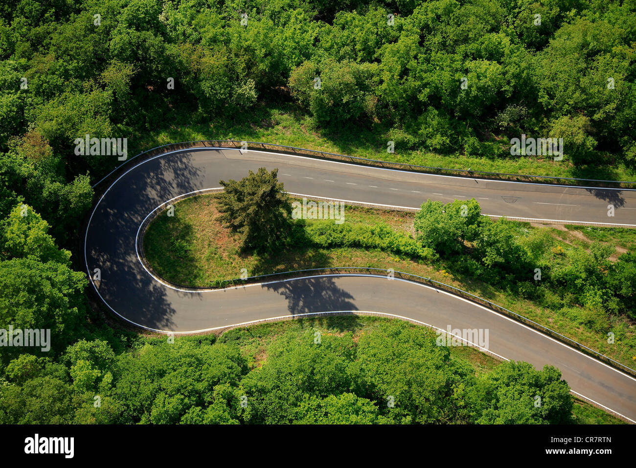 Vista aerea, strada tortuosa, tornante, Valle del Reno, vicino Oberwesel, Renania-Palatinato, Germania, Europa Foto Stock